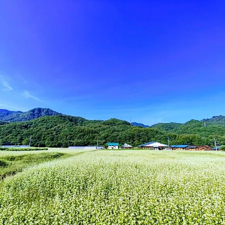 Kikori House｜本物の素材にこだわった山村の一軒家 Villa Minamiaizu Exterior photo